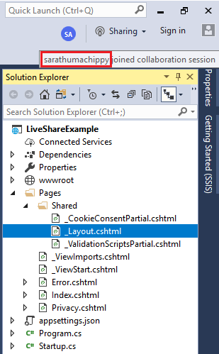 Collaborate Work In Same Project From VS 2017 And VS 2019 Using Live Share